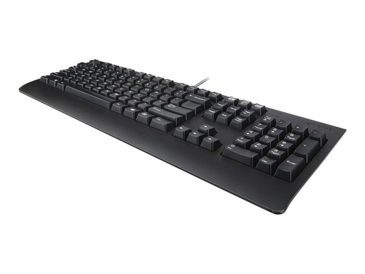 [4286031] Clavier Lenovo Pro II